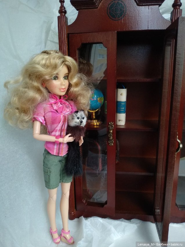 Шкаф для миниатюрных книг ДеАгостини с наполнением, новый (фото 6)