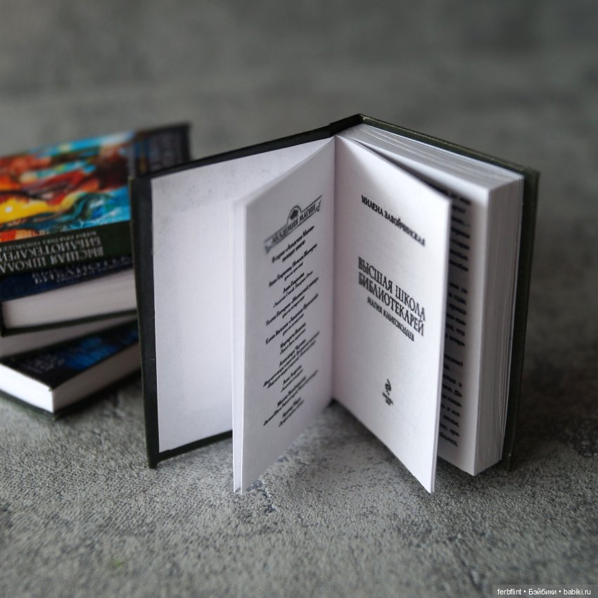 Книги из серии "Книгоходцы" в масштабе 1:6 (фото 5)