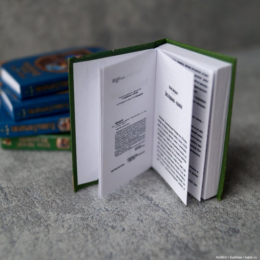 Книги из серии "Колдовские миры" в масштабе 1:6 (фото 4)