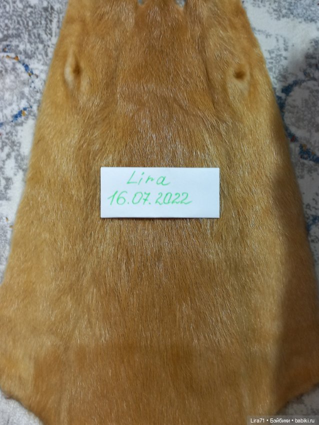 Мех нутрии натуральный — Ткани (фото 8)