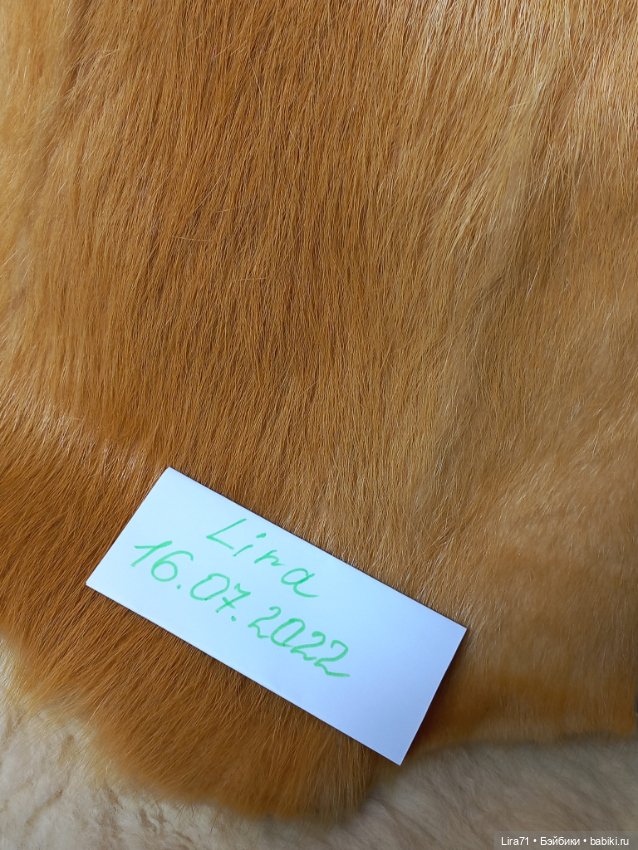 Мех нутрии натуральный — Ткани (фото 3)