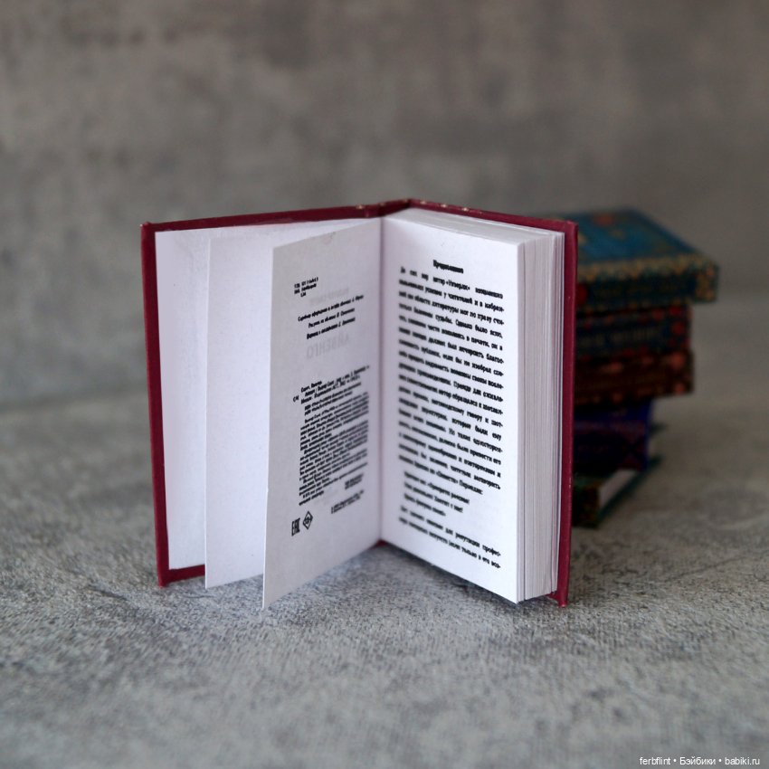 Книги серии "Коллекция школьника" в масштабе 1:6 (фото 4)