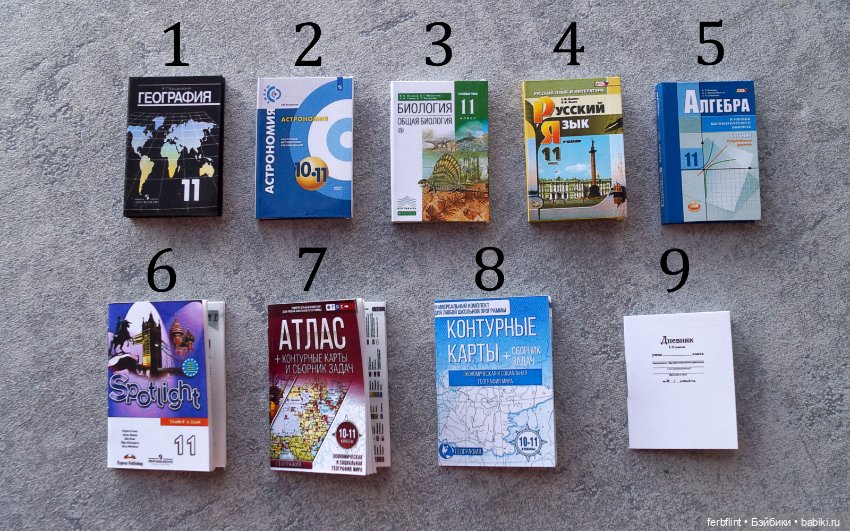 Учебники для старшеклассников (масштаб 1:6) (фото 2)