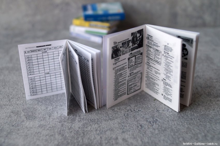 Учебники для старшеклассников (масштаб 1:6) (фото 8)