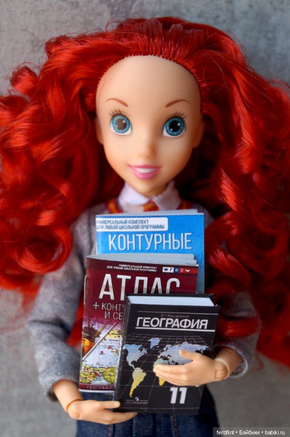 Учебники для старшеклассников (масштаб 1:6) (фото 10)