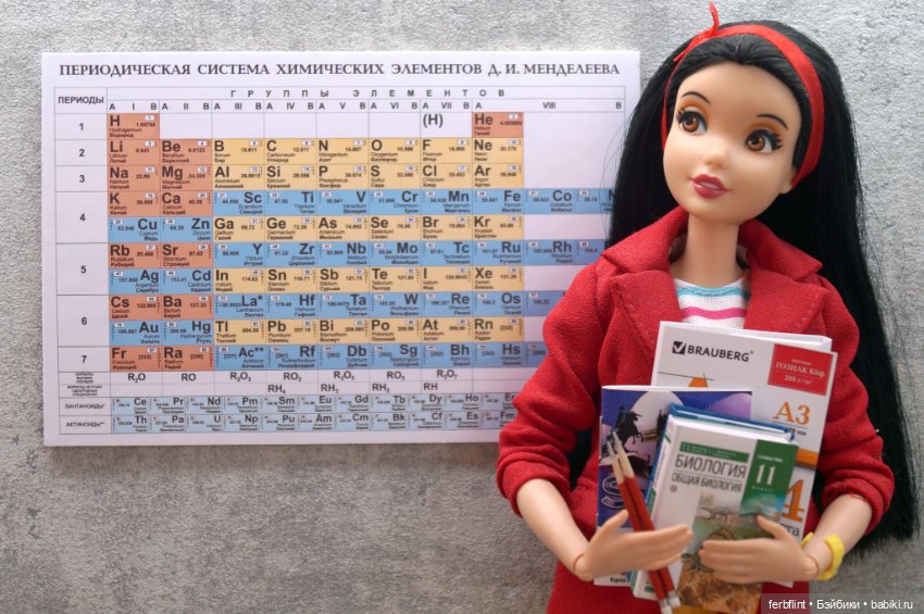 Набор для школьника №1 (масштаб 1:6) (фото 7)