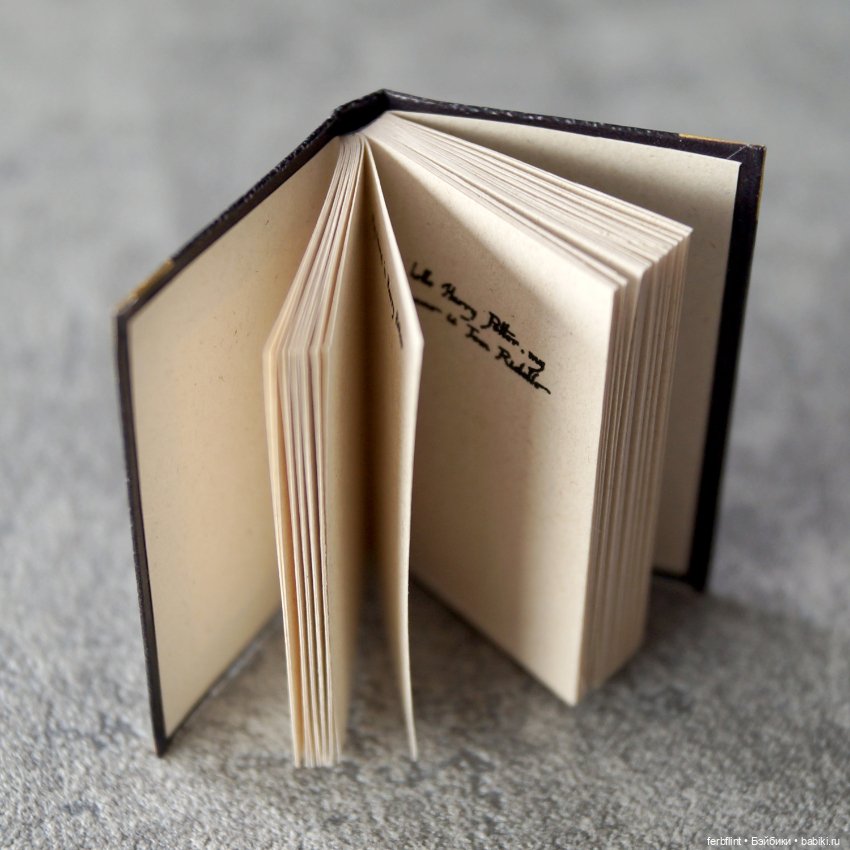 Книги из мира Гарри Поттера (масштаб 1:6) (фото 5)