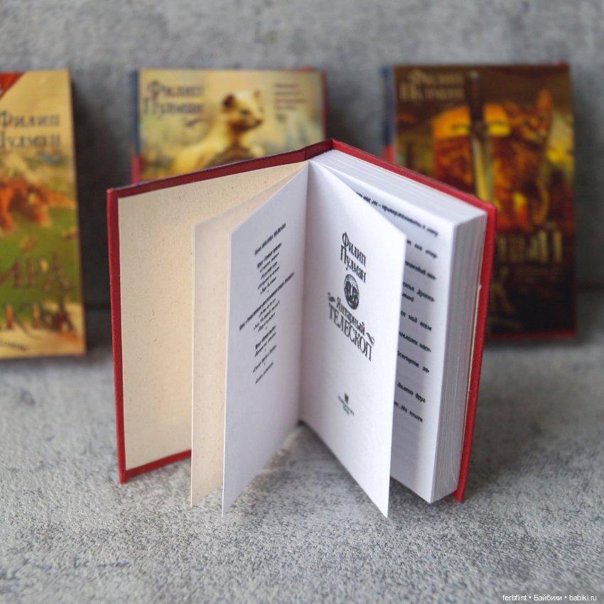 Книги "Золотой компас" в масштабе 1:6 (фото 4)