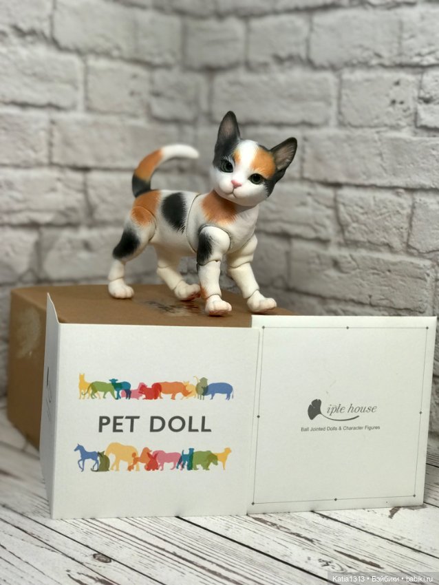 IpleHouse петы — котенок — Куклы BJD (фото 6)