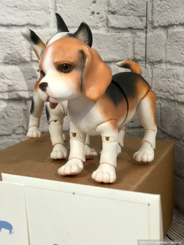 IpleHouse петы — щенок бигля (фото 4)