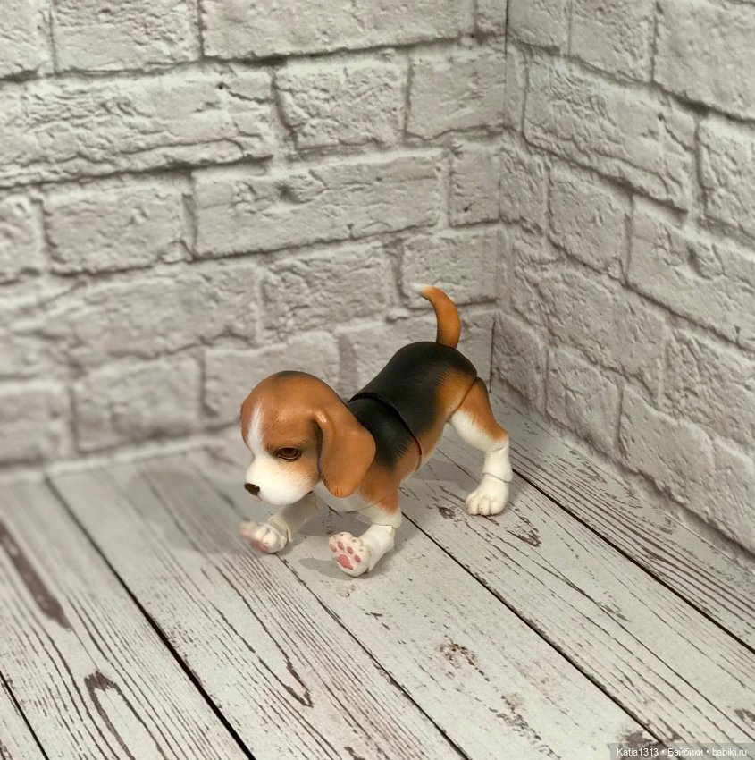 IpleHouse петы — щенок бигля