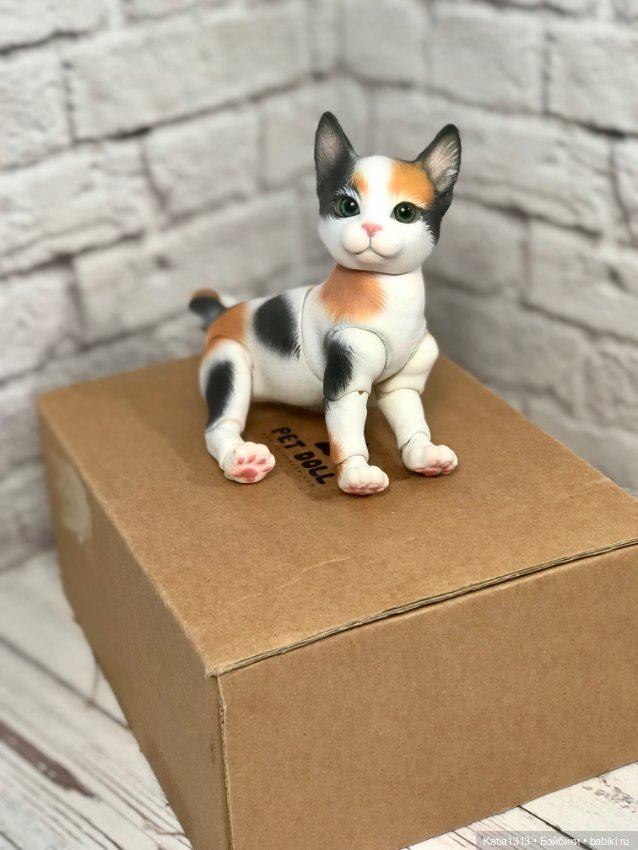 IpleHouse петы — котенок — Куклы BJD (фото 8)