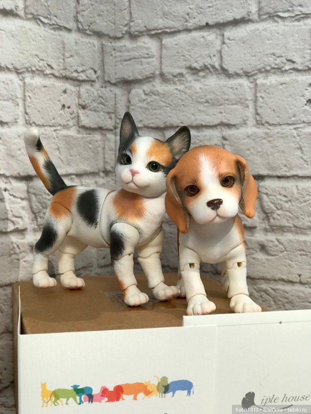 IpleHouse петы — щенок бигля (фото 6)
