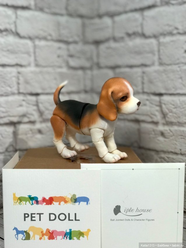 IpleHouse петы — щенок бигля (фото 3)