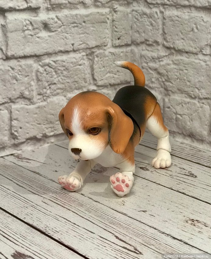 IpleHouse петы — щенок бигля (фото 8)