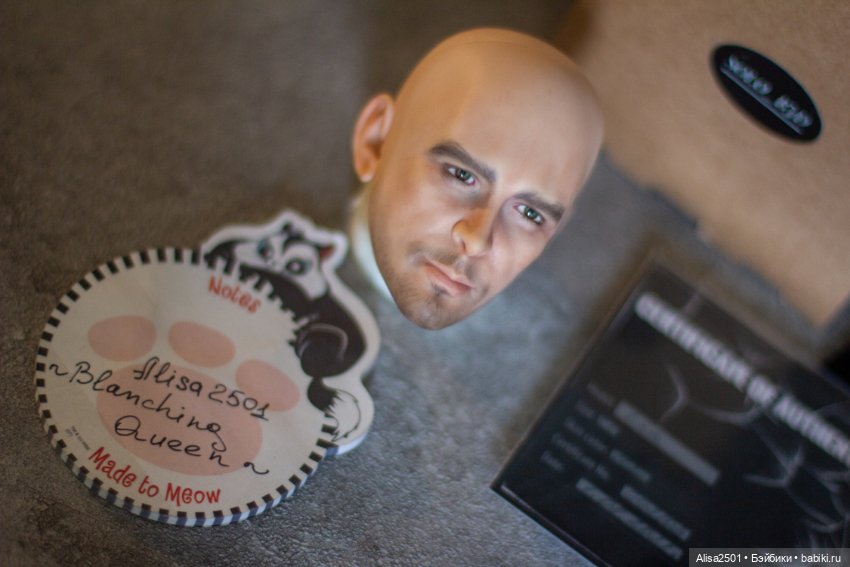 Minimee Lee Pase (Solo_bjd) (фото 7)