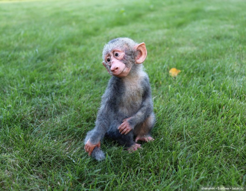 Малыш гамадрил — Авторские игрушки (фото 6)