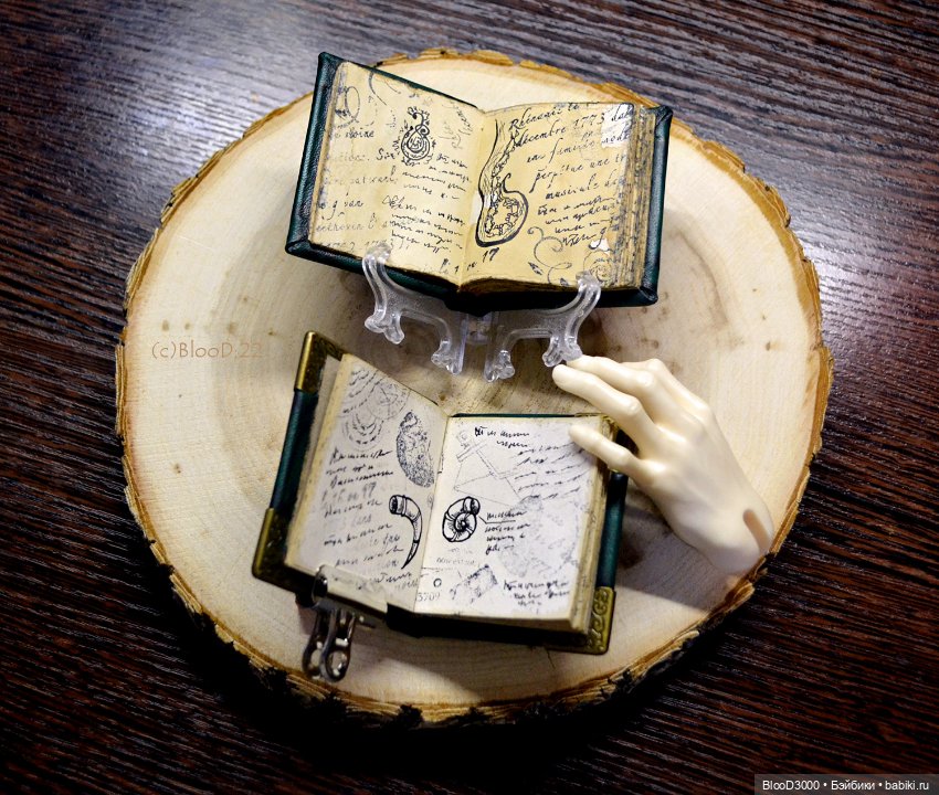 Книги для СД — Аксессуары для BJD (фото 4)
