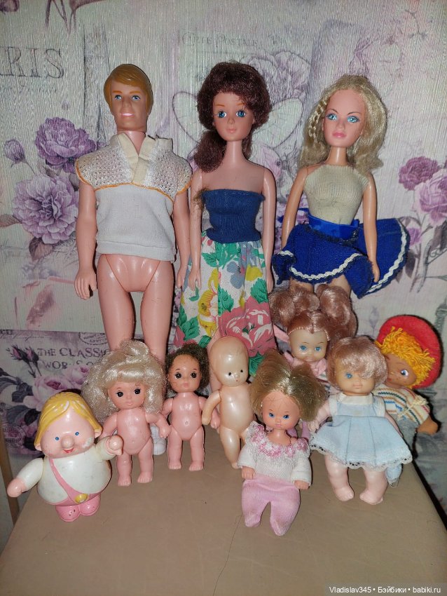 Кинглет кискасының фотосы Кинглет кискасының фотосы