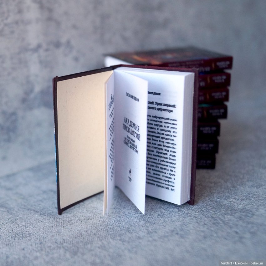 Серия книг "Академия проклятий" в масштабе 1:6 (фото 4)