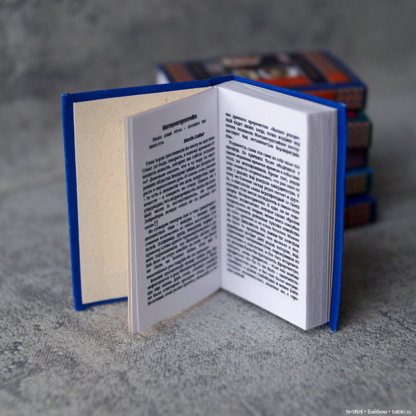 Книги "Классика" №3 в масштабе 1:6 (фото 4)