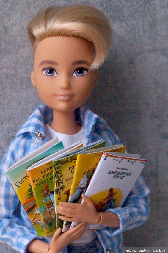 Набор книг "Петсон и Финдус" в масштабе 1:6 (фото 4)