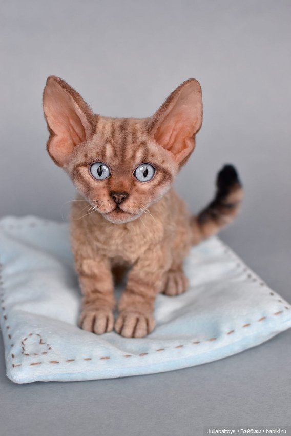 Кот девон рекс