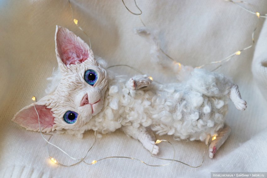 Котик Девон Рекс ищет дом!♥ (фото 4)