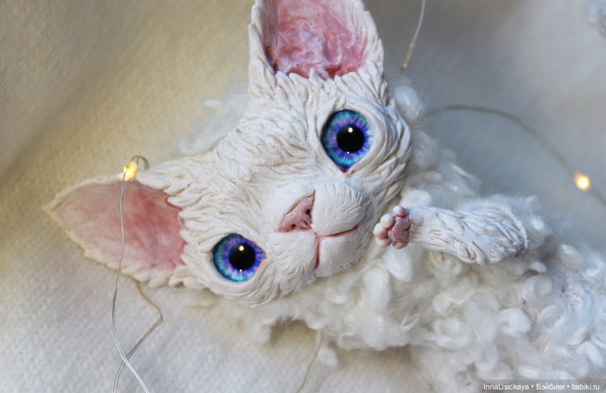 Котик Девон Рекс ищет дом!♥ (фото 5)