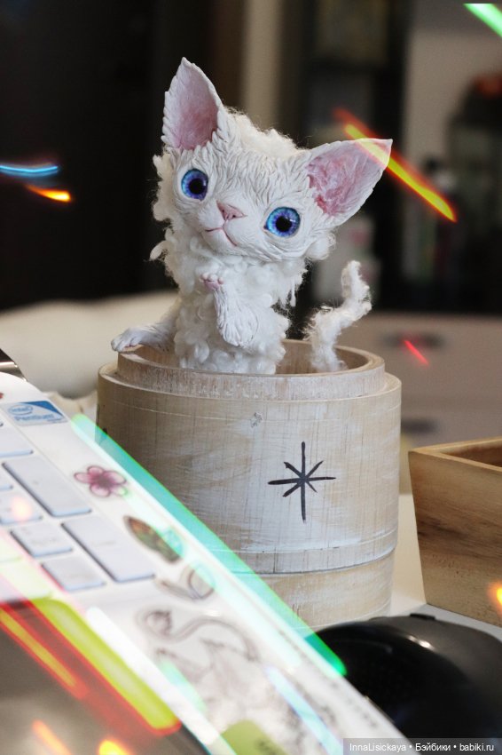 Котик Девон Рекс ищет дом!♥ (фото 7)