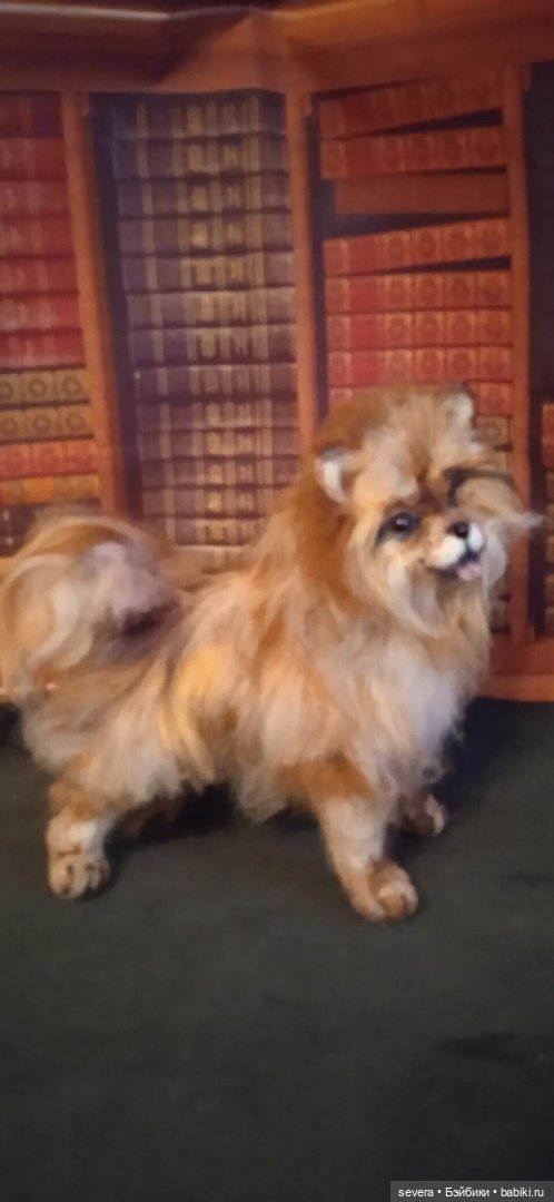 Игрушки -собаки из шерсти (фото 7)