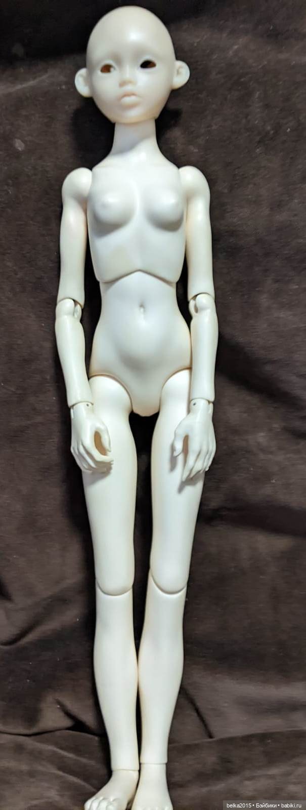 Уникальный гибрид - FragileDolls / Sleetwealth Briar (фото 2)