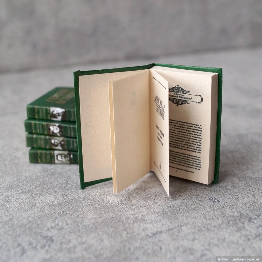 Книги "Русская классика" №4 в масштабе 1:6 (фото 5)