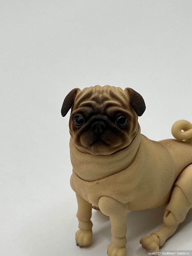 Мопс от Oleum — Куклы BJD (фото 2)