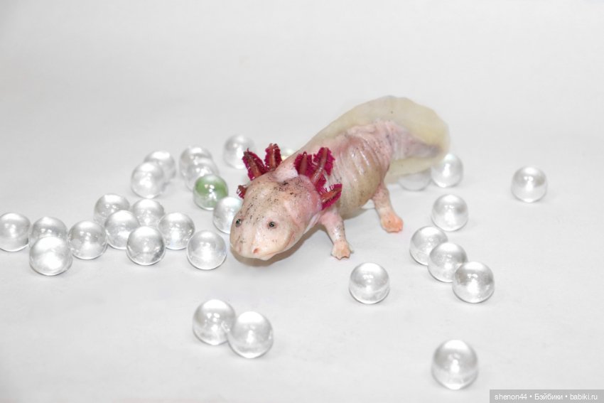 Аксолотль — Авторские игрушки (фото 8)