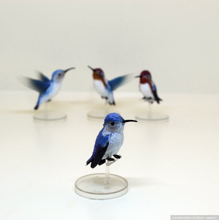 Колибри — Коллекционные фигурки (фото 3)
