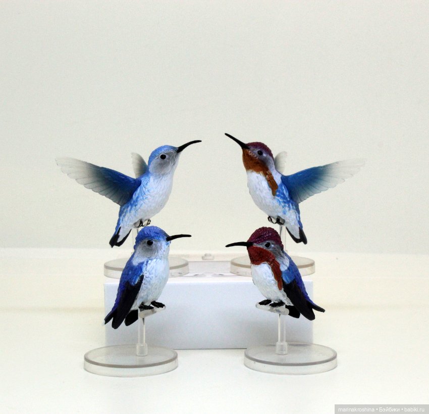 Колибри — Коллекционные фигурки