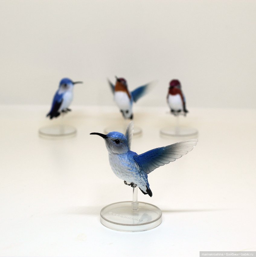 Колибри — Коллекционные фигурки (фото 5)