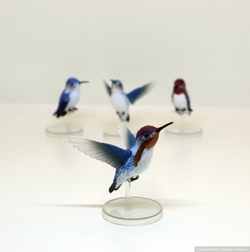 Колибри — Коллекционные фигурки (фото 7)