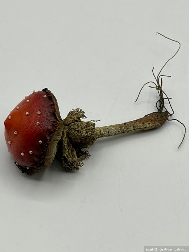 Гриб от Мандрагоры mandragora_root