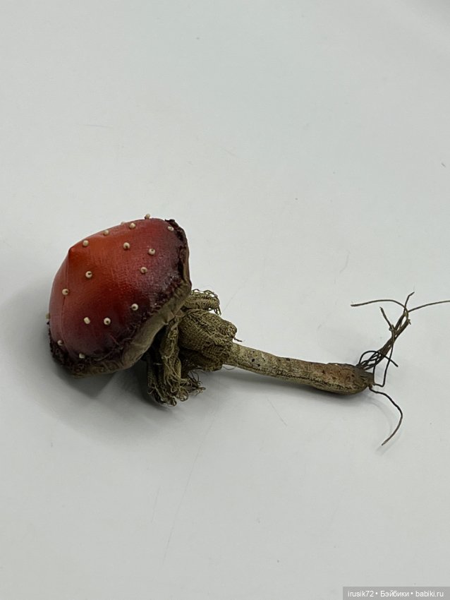 Гриб от Мандрагоры mandragora_root (фото 9)