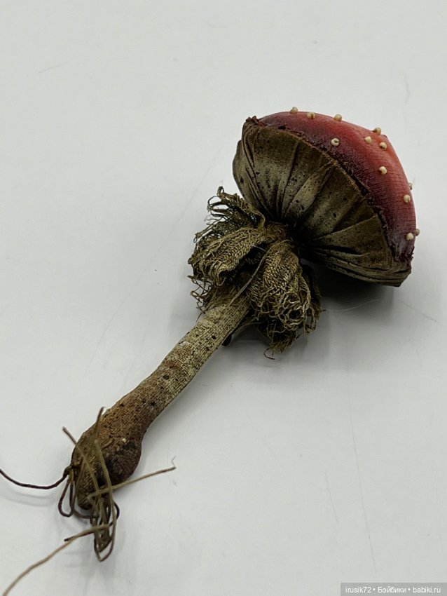 Гриб от Мандрагоры mandragora_root (фото 6)