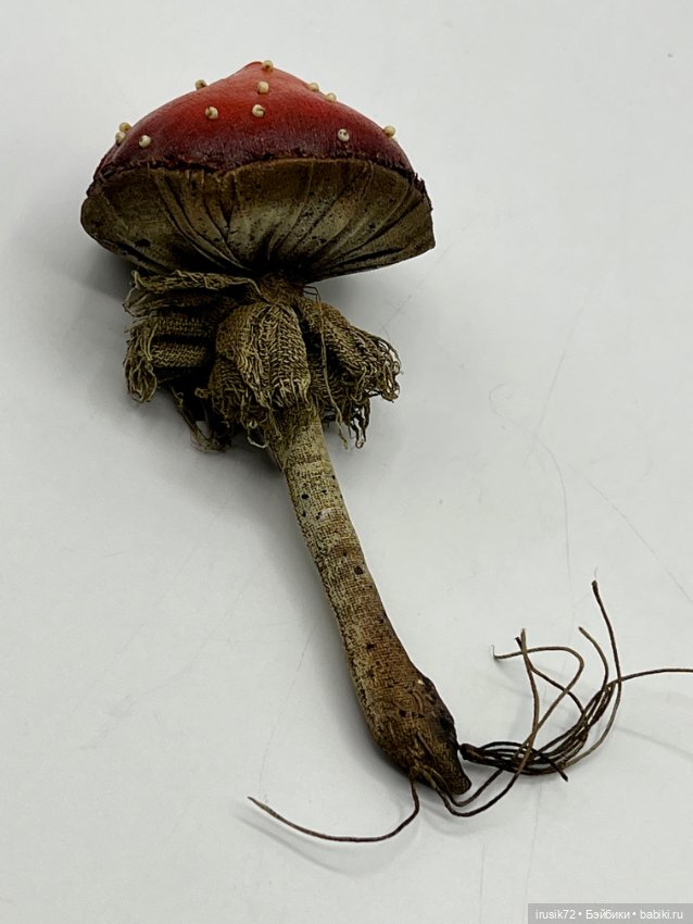 Гриб от Мандрагоры mandragora_root (фото 3)