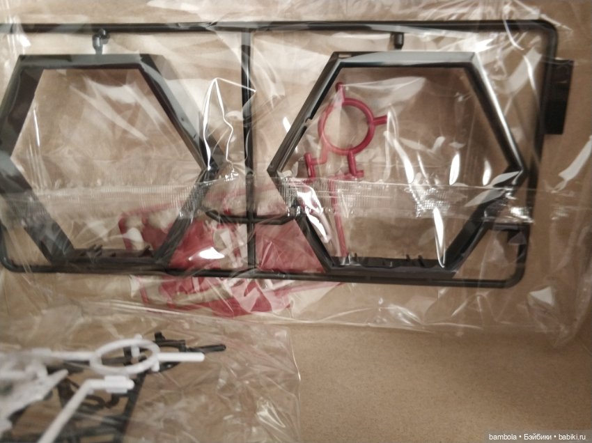 Chitocerium XCIX-Albere & C-Efer (фото 7)