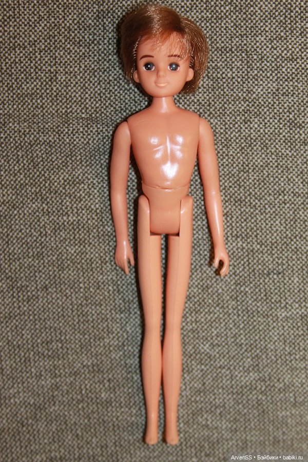 Винтажный бойфренд Ликки третьего поколения Исаму-кун (фото 4)