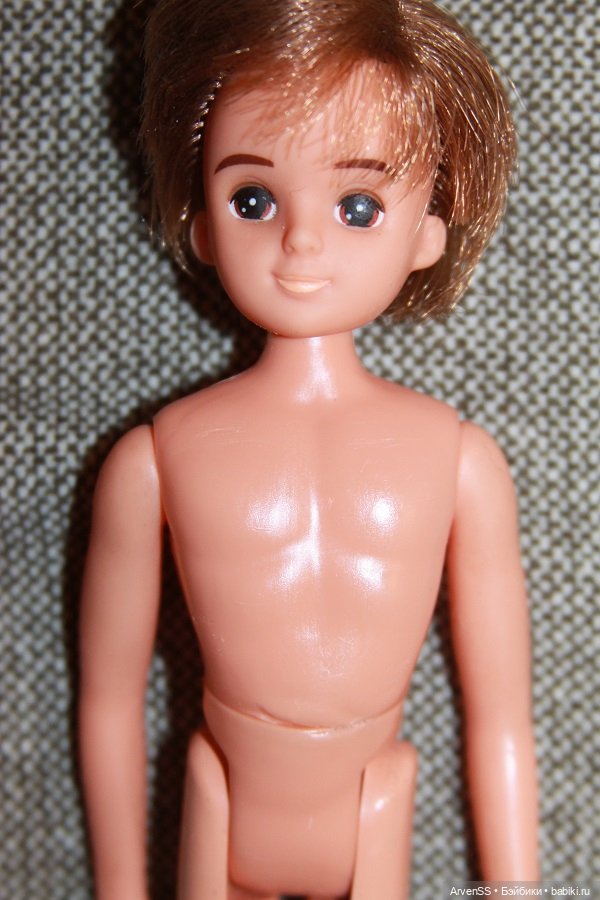 Винтажный бойфренд Ликки третьего поколения Исаму-кун (фото 5)