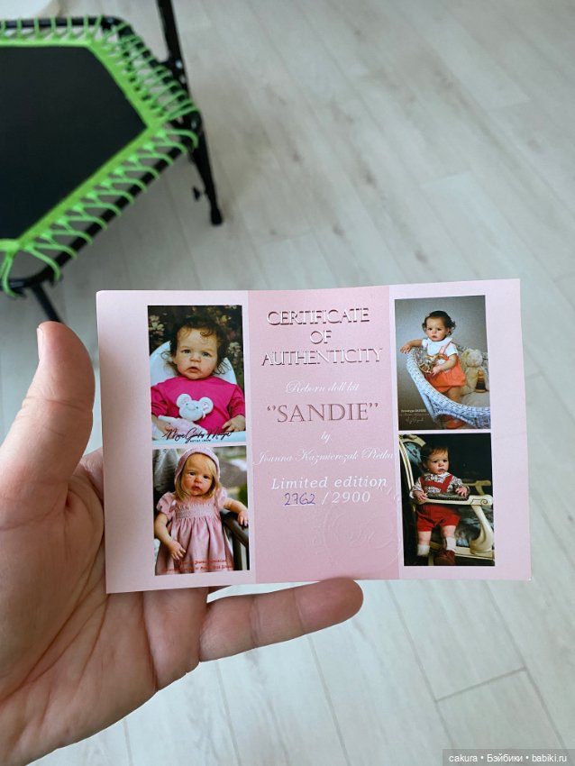 Sandie — Куклы реборн (фото 9)