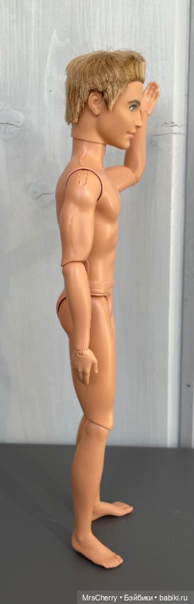 Кен из дома мечты / Dreamhouse Ken (фото 3)