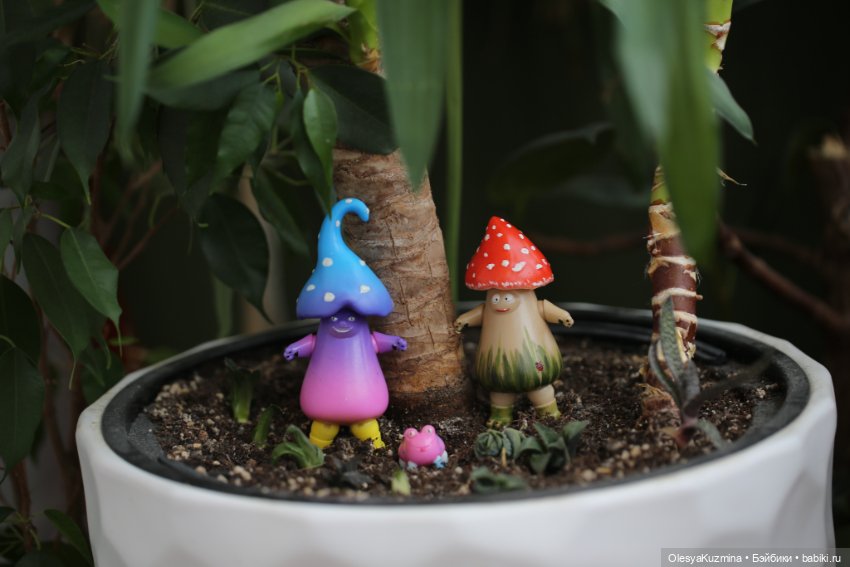 БЖД грибы — Куклы BJD