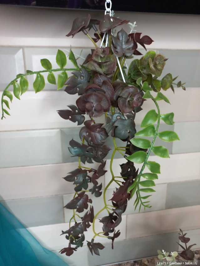 Подвесное декоративное растение для интерьера (фото 3)